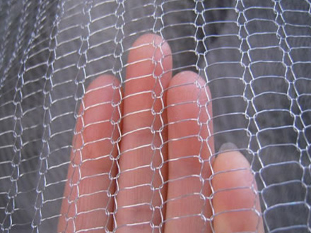 1561022399439003709.jpg 4.jpg