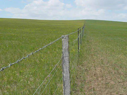 草原网围栏